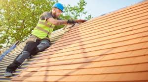 Best Roof Moss and Algae Removal  in Mentone, CA